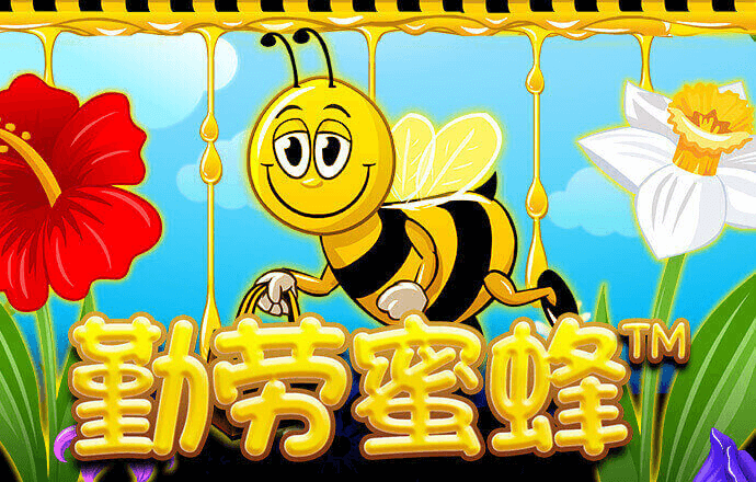 注册送彩38金平台